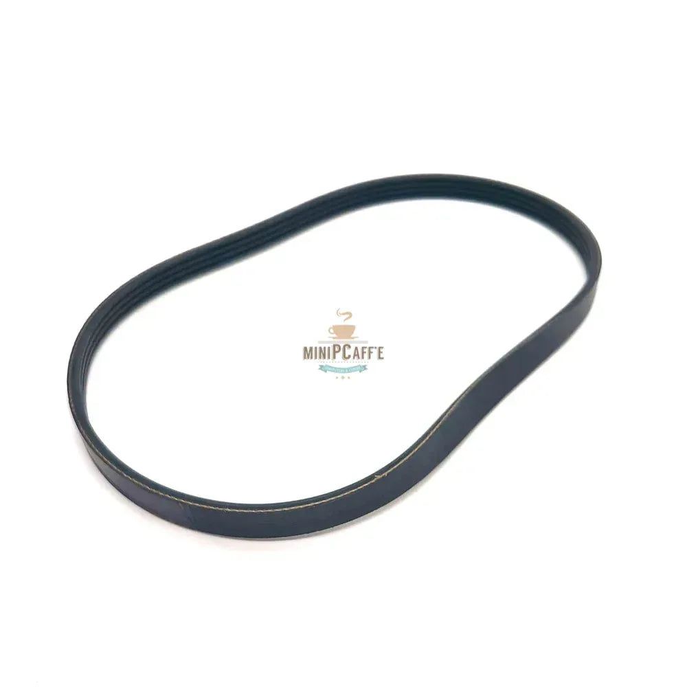 Correa de transmisión para máquina de helados Musso Fiume Giardino - MiniPCaffe.com