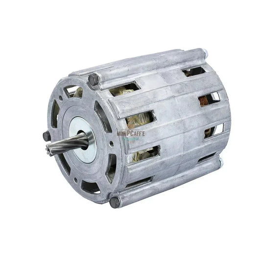 Motor and Gear and Shaft Replacement for Musso Pola Stella - MiniPCaffe.com