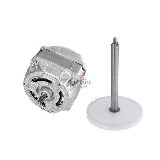 Motor and Gear and Shaft Replacement for Musso Mini Lussino - MiniPCaffe.com