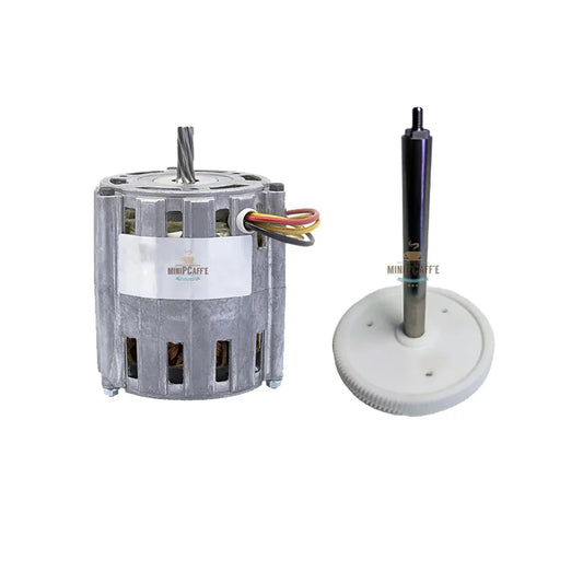 Motor and Gear and Shaft Replacement for Musso Pola Stella - MiniPCaffe.com