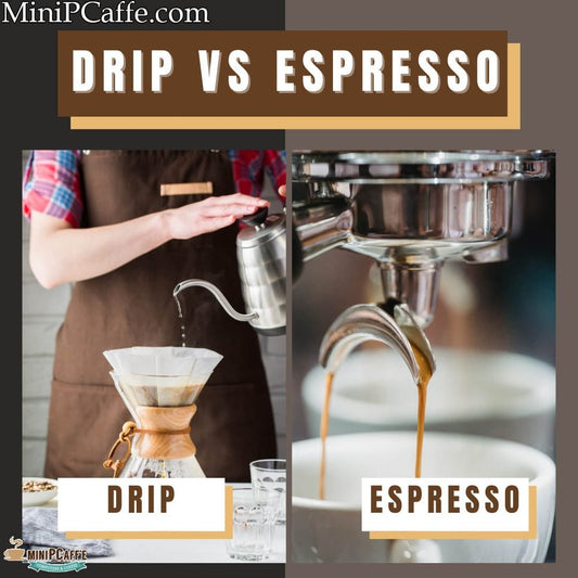 Espresso vs Drip Coffee - Which One Is Better?