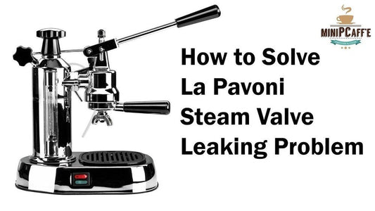 How to Fix La Pavoni Steam Valve Leaking Problem (Europiccola/ Professional) - MiniPCaffe.com
